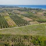  For Sale - (€ 0 / m2), Agricultural 4197 m2 Orfano 8098088 thumb2