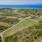  For Sale - (€ 0 / m2), Agricultural 4197 m2 Orfano 8098088 thumb3
