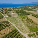  For Sale - (€ 0 / m2), Agricultural 4197 m2 Orfano 8098088 thumb5