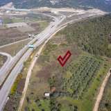  For Sale - (€ 0 / m2), Agricultural 2629 m2 Eleftheres 8098890 thumb8