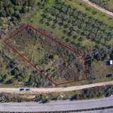  For Sale - (€ 0 / m2), Agricultural 2629 m2 Eleftheres 8098890 thumb4