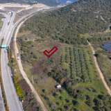  For Sale - (€ 0 / m2), Agricultural 2629 m2 Eleftheres 8098890 thumb7