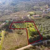  For Sale - (€ 0 / m2), Agricultural 3188 m2 Eleftheres 8098891 thumb2