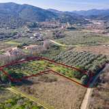  For Sale - (€ 0 / m2), Agricultural 3188 m2 Eleftheres 8098891 thumb3