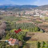  For Sale - (€ 0 / m2), Agricultural 3188 m2 Eleftheres 8098891 thumb4