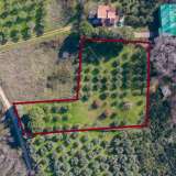  For Sale - (€ 0 / m2), Agricultural 3188 m2 Eleftheres 8098891 thumb9