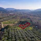  For Sale - (€ 0 / m2), Agricultural 3188 m2 Eleftheres 8098891 thumb0