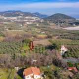 For Sale - (€ 0 / m2), Agricultural 3188 m2 Eleftheres 8098891 thumb6