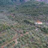  For Sale - (€ 0 / m2), Agricultural 5770 m2 Thasos 8098905 thumb8