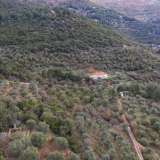  For Sale - (€ 0 / m2), Agricultural 5770 m2 Thasos 8098905 thumb7