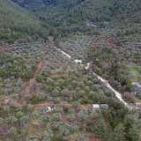  For Sale - (€ 0 / m2), Agricultural 5770 m2 Thasos 8098905 thumb4