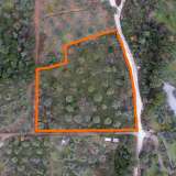  For Sale - (€ 0 / m2), Agricultural 5770 m2 Thasos 8098905 thumb3