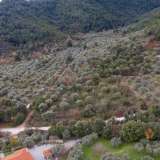  For Sale - (€ 0 / m2), Agricultural 5770 m2 Thasos 8098905 thumb6