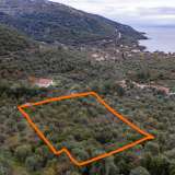  For Sale - (€ 0 / m2), Agricultural 5770 m2 Thasos 8098905 thumb2