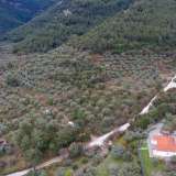  For Sale - (€ 0 / m2), Agricultural 5770 m2 Thasos 8098905 thumb5