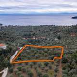  For Sale - (€ 0 / m2), Agricultural 5770 m2 Thasos 8098905 thumb0
