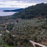  For Sale - (€ 0 / m2), Agricultural 5770 m2 Thasos 8098905 thumb1