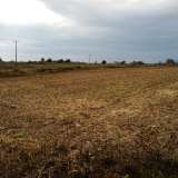  For Sale - (€ 0 / m2), Agricultural 12770 m2 Chrisoupoli 8098907 thumb1