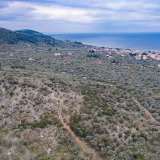  For Sale - (€ 0 / m2), Agricultural 4032 m2 Thasos 8098911 thumb8