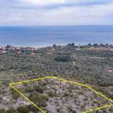  For Sale - (€ 0 / m2), Agricultural 4032 m2 Thasos 8098911 thumb3