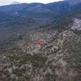  For Sale - (€ 0 / m2), Agricultural 4032 m2 Thasos 8098911 thumb5