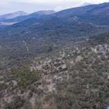  For Sale - (€ 0 / m2), Agricultural 4032 m2 Thasos 8098911 thumb6