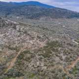  For Sale - (€ 0 / m2), Agricultural 4032 m2 Thasos 8098911 thumb9