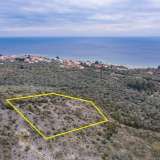  For Sale - (€ 0 / m2), Agricultural 4032 m2 Thasos 8098911 thumb0