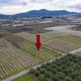  For Sale - (€ 0 / m2), Agricultural 2378 m2 Eleftheres 8098935 thumb3