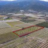  For Sale - (€ 0 / m2), Agricultural 2378 m2 Eleftheres 8098935 thumb5