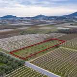  For Sale - (€ 0 / m2), Agricultural 2378 m2 Eleftheres 8098935 thumb0