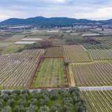  For Sale - (€ 0 / m2), Agricultural 2378 m2 Eleftheres 8098935 thumb2