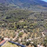  For Sale - (€ 0 / m2), Agricultural 2266.84 m2 Thasos 8098963 thumb5