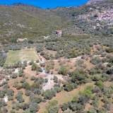  For Sale - (€ 0 / m2), Agricultural 2266.84 m2 Thasos 8098963 thumb8