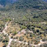  For Sale - (€ 0 / m2), Agricultural 2266.84 m2 Thasos 8098963 thumb6