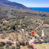  For Sale - (€ 0 / m2), Agricultural 2266.84 m2 Thasos 8098963 thumb3