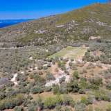  For Sale - (€ 0 / m2), Agricultural 2266.84 m2 Thasos 8098963 thumb9