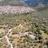  For Sale - (€ 0 / m2), Agricultural 2266.84 m2 Thasos 8098963 thumb7