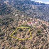  For Sale - (€ 0 / m2), Agricultural 4125.70 m2 Thasos 8098964 thumb4