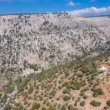  For Sale - (€ 0 / m2), Agricultural 4125.70 m2 Thasos 8098964 thumb7