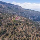  For Sale - (€ 0 / m2), Agricultural 4125.70 m2 Thasos 8098964 thumb5