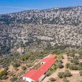  For Sale - (€ 0 / m2), Agricultural 4125.70 m2 Thasos 8098964 thumb8