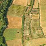  For Sale - (€ 0 / m2), Agricultural 44571 m2 Proti 8098099 thumb4