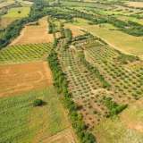  For Sale - (€ 0 / m2), Agricultural 44571 m2 Proti 8098099 thumb6