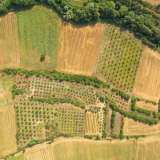  For Sale - (€ 0 / m2), Agricultural 44571 m2 Proti 8098099 thumb3