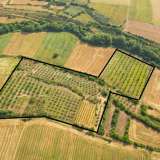  For Sale - (€ 0 / m2), Agricultural 44571 m2 Proti 8098099 thumb0
