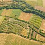  For Sale - (€ 0 / m2), Agricultural 44571 m2 Proti 8098099 thumb1