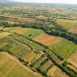  For Sale - (€ 0 / m2), Agricultural 44571 m2 Proti 8098099 thumb8