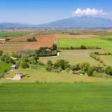  For Sale - (€ 0 / m2), Agricultural 2500 m2 Filippoi 8098997 thumb0