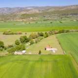  For Sale - (€ 0 / m2), Agricultural 2500 m2 Filippoi 8098997 thumb3